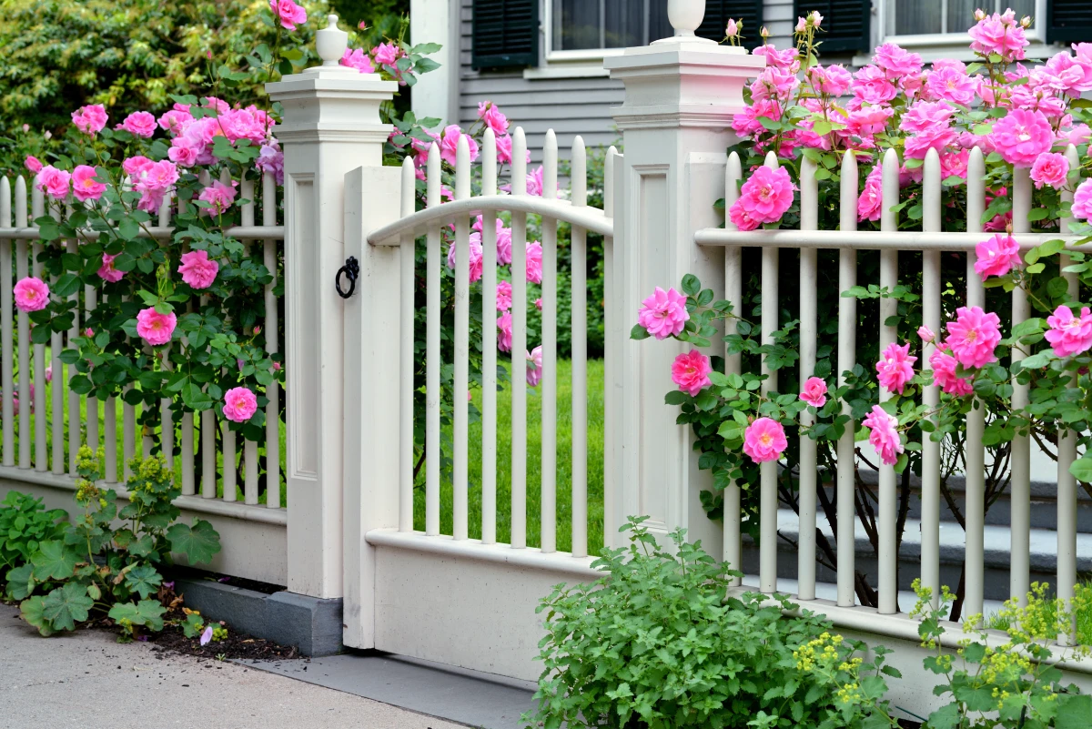 Custom Gates 2 Fencing Manufacturers